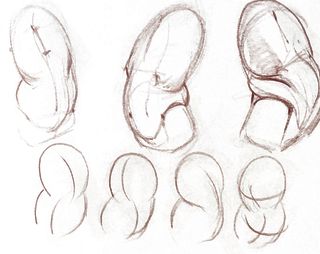 how to draw anatomy - sketches showing how to draw a person