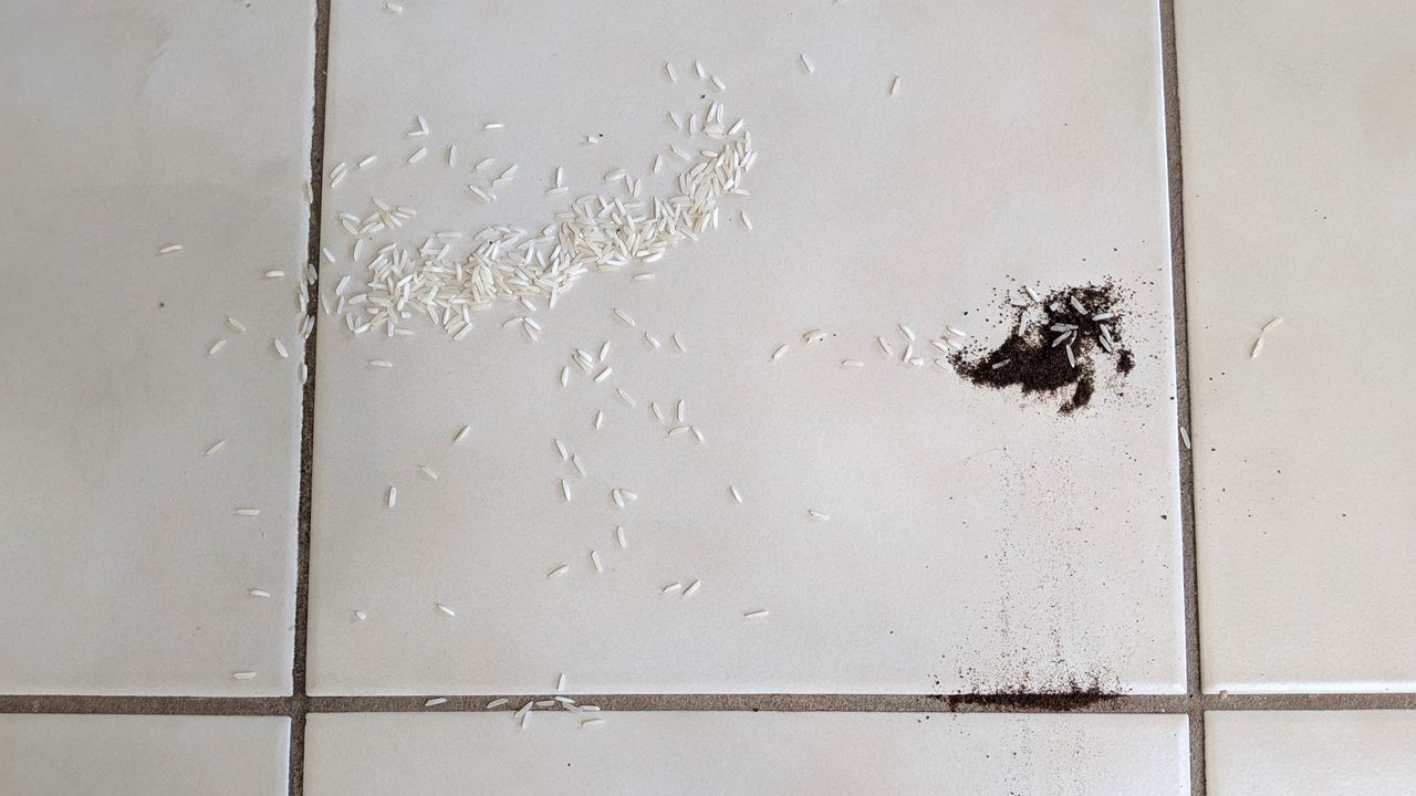 Rice and coffee grounds on hard floor after one pass with Shark PowerDetect Speed vacuum cleaner on low power