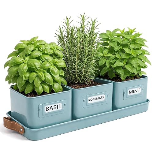Green Thumbz Herb Pots for Kitchen Windowsill - Set of 3 Teal Blue Herb Planter Indoor With Leather Handled Tray - Ideal for an Indoor Herb Garden, Plants and Flowers - Labels Included