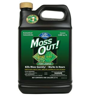 Lilly Miller Moss Out! Lawn Moss Killer Concentrate Herbicide, 1 Gallon