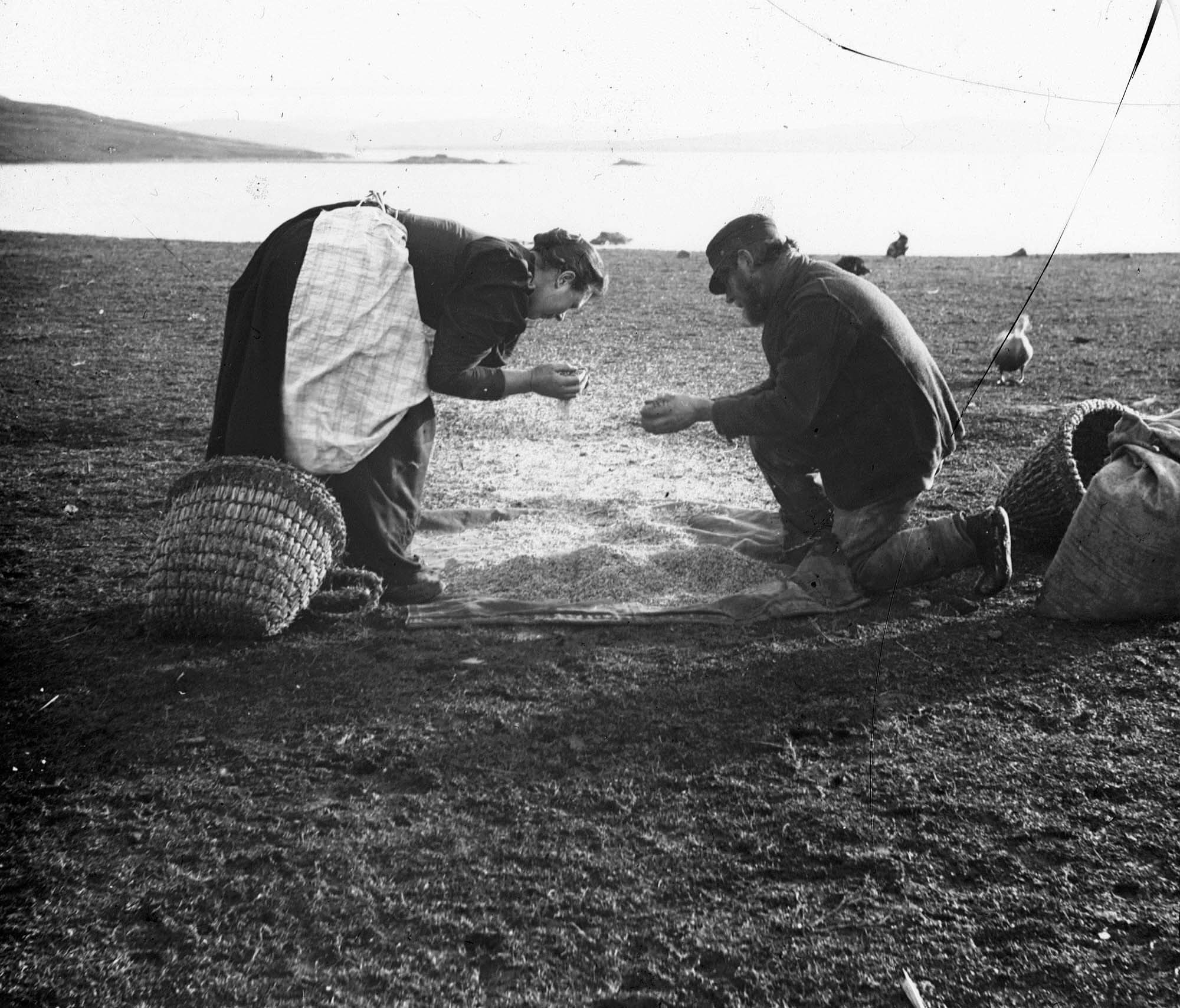 A woman and a bearded man kneel opposite each other on a cloth spread over a field, letting grain trickle from their hands while winnowing corn beside woven baskets, a loch and hills behind them.