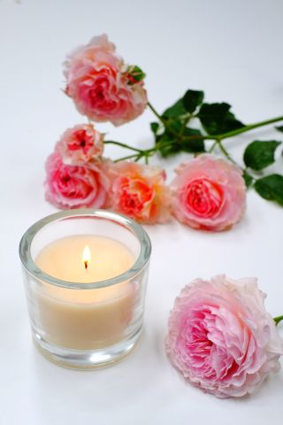 Pink and red roses and candle