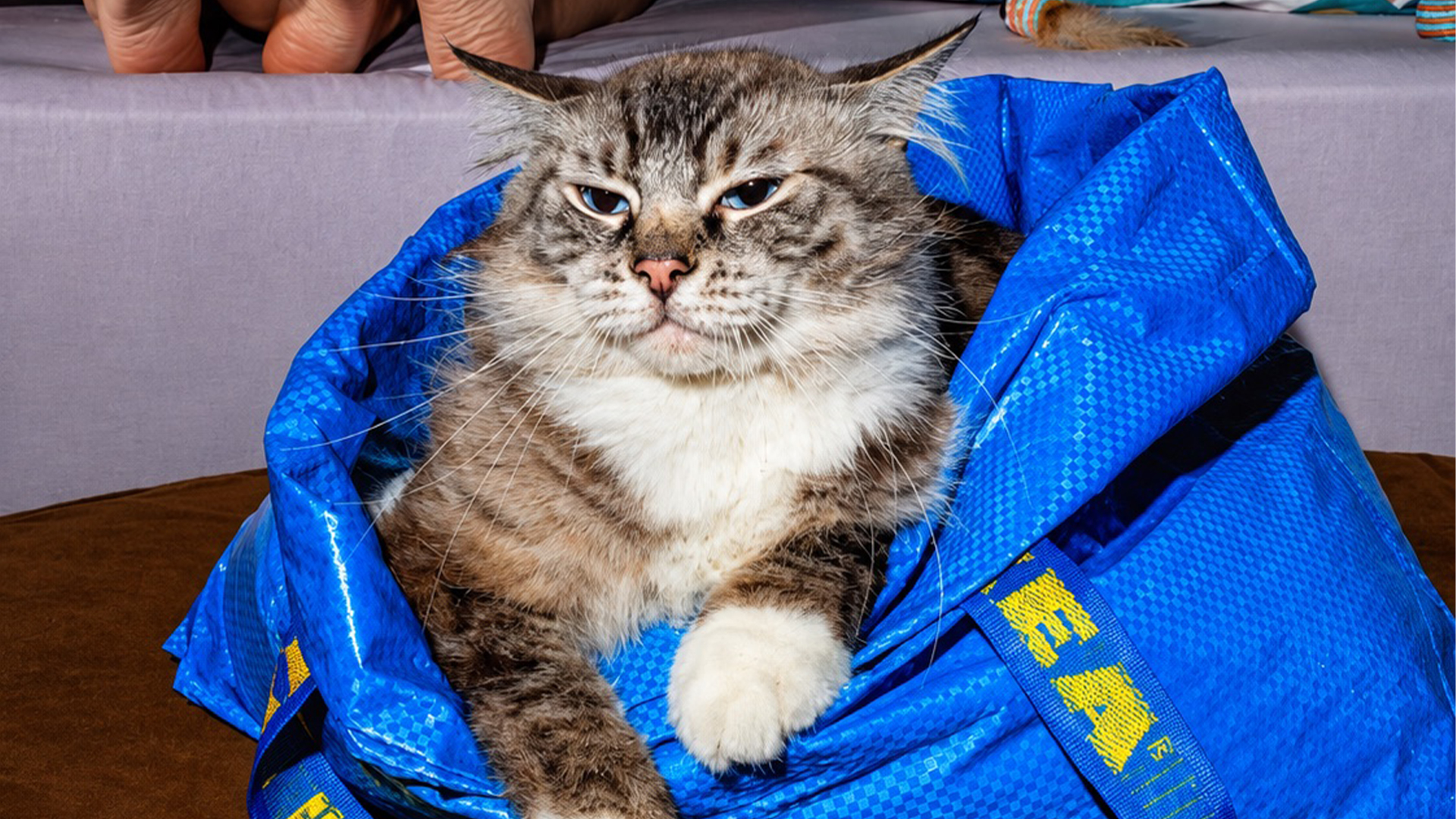 IKEA ad