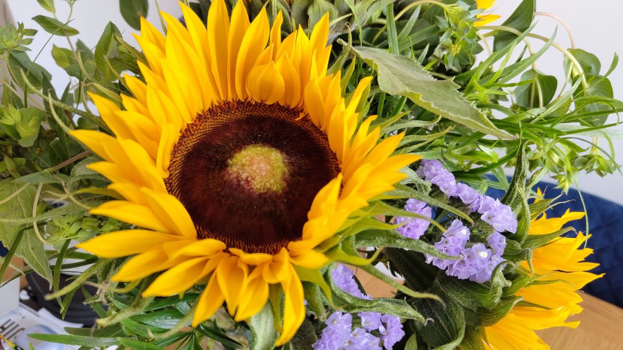 Nothing Phone 1 review camera sample