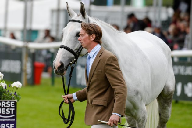 Alfies-Clover_Burghley_PN17_85100-e1504197099972.jpg
