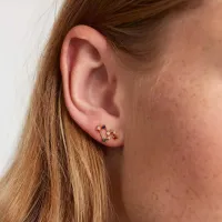 14. Leo Zodiac Earrings:
