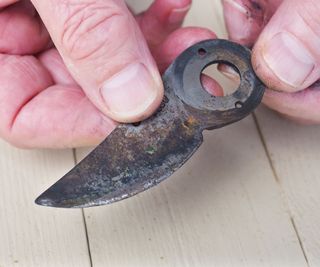 cleaning a blade from a set of pruning shears