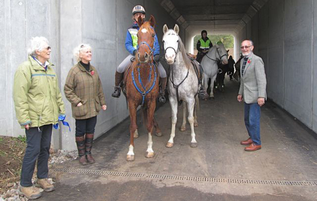 Underpass_Jane_van_Lennep_with_empty_horse_IMG_2020.jpg