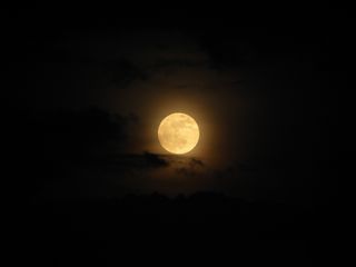 The supermoon of 2012, May's full moon, as seen by Giuseppe Petricca in Pisa, Italy, on May 5, 2012.