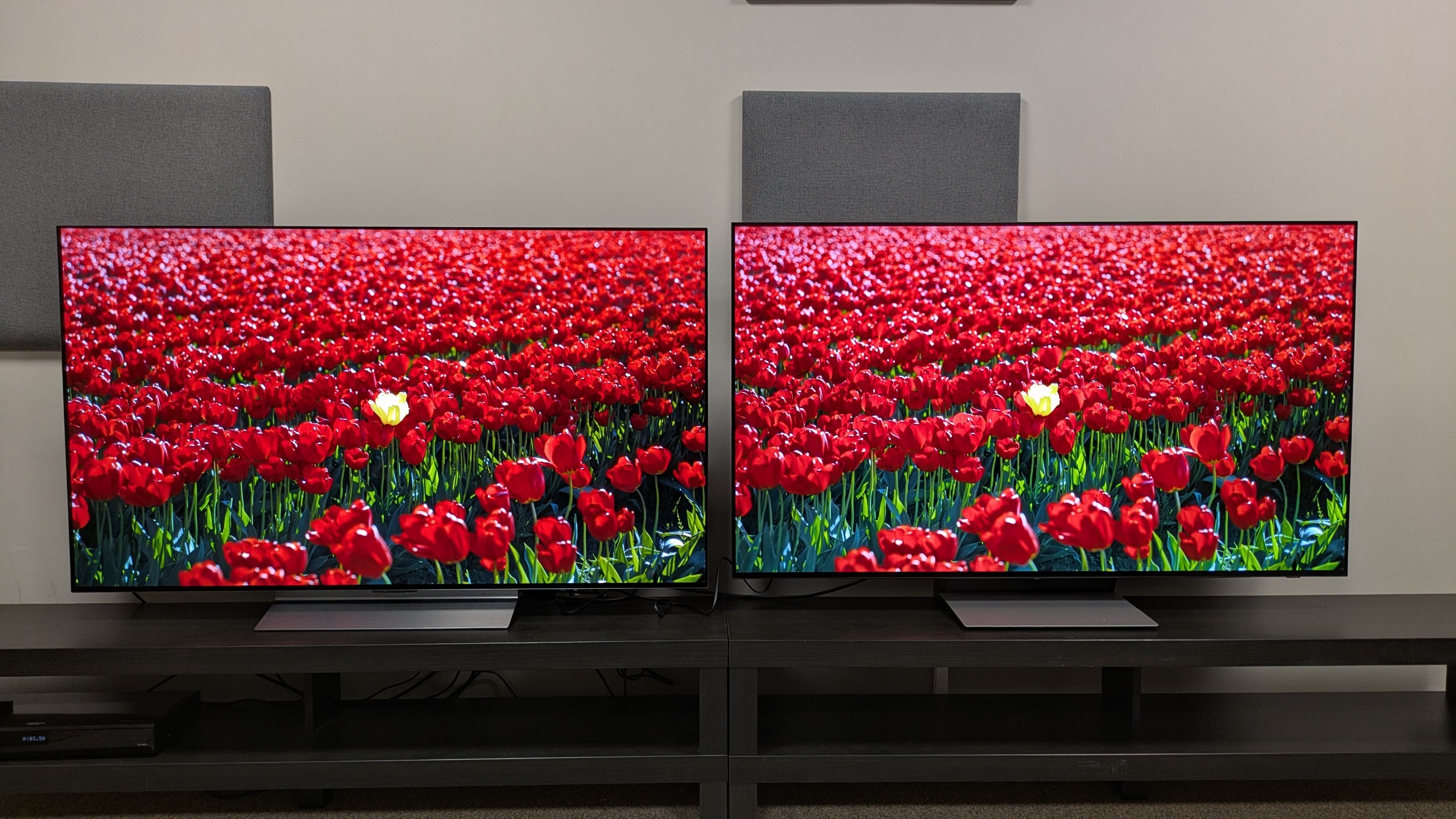 LG C6 (left) and Samsung S90H (right) showing shot of filed of red flowers on screen. Great colors from both TVs but the C6's look richer