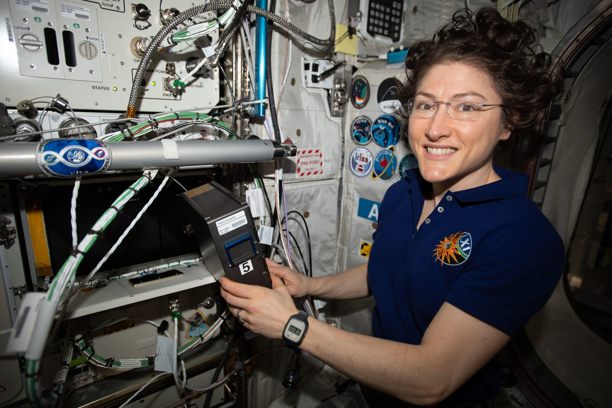 NASA astronaut Christina Koch services the BioFabrication Facility (BFF) at the International Space Station. The BFF is a 3D biological printer that manufactures organ-like tissues in microgravity.