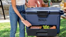 Dark blue cool box with sausages and salad in at a barbecue setting