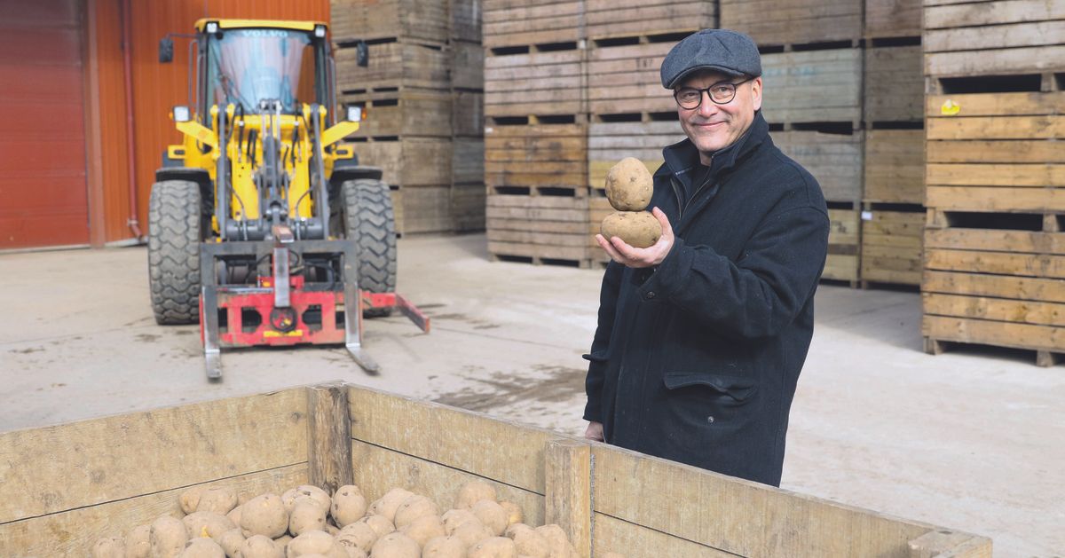 We Brits really love our crisps, eating 17 million potatoes-worth of them a day!