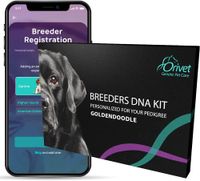 ORIVET Dog DNA Test Kit - Goldendoodle RRP: $129.95 | Now: $103.96 | Save: $25.99 (20%)