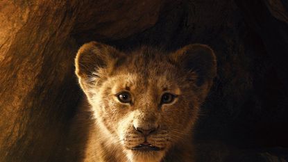 Felidae, Collage, Adaptation, Art, Organism, Toy, Lion, Wildlife, Photomontage, Big cats, 