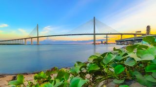 Cable-stayed bridge over calm water at sunset with green plants in the foreground and a clear blue sky