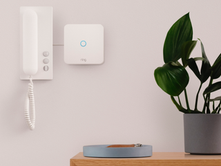 Ring intercom on a white wall in a flat with a plant on a shelf