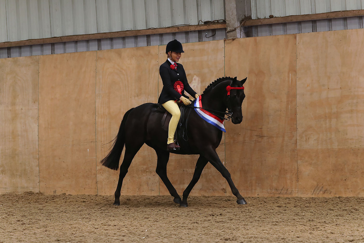BSPS Area 2A Cheshire Premier Spring Show 2019