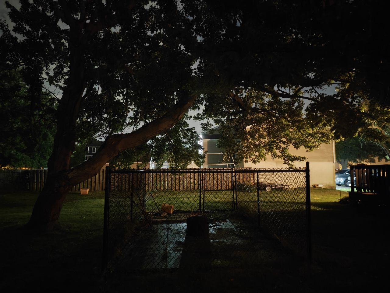 OnePlus Open low light sample.