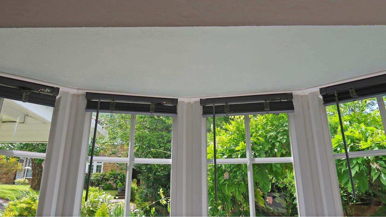 A painted textured ceiling of a bay window