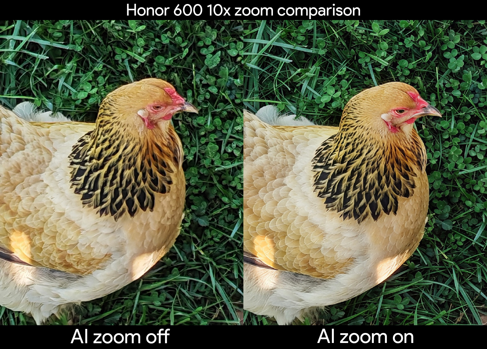 Comparison of a 10x zoomed-in photo taken from the Honor 600 with AI Zoom disabled with the same image using AI-enhanced zoom
