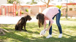 Woman picking up dog poop