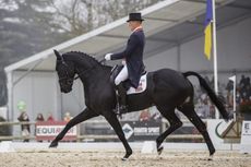 GBR-Oliver Townend rides Cillabradden Evo during the second day of Dressage for the CCI4*. Interim-1st. 2018 FRA-4 Etoiles de Pau. Domaine de Sers. Friday 26 October. Copyright Photo: Libby Law Photography