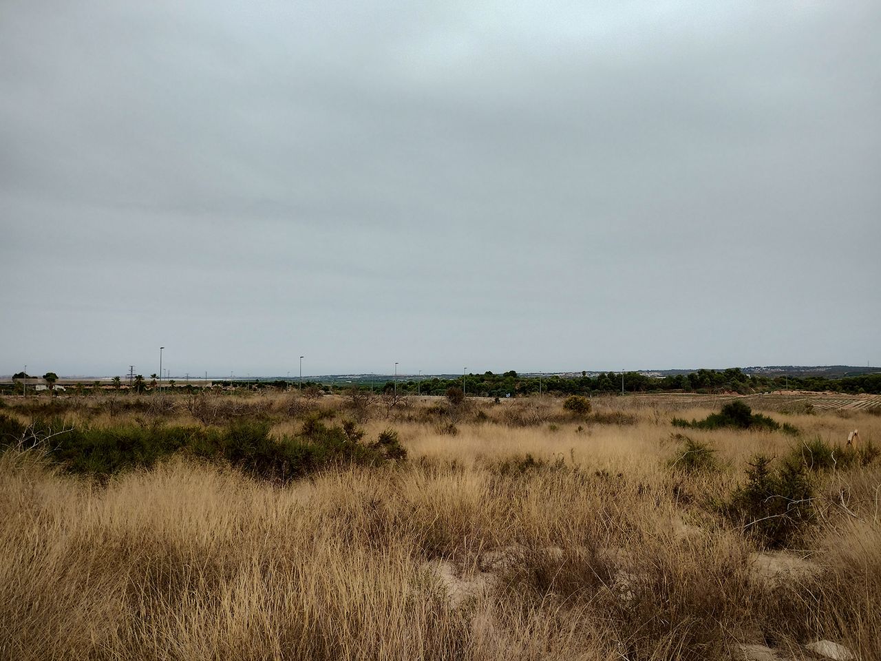 Moto G62 camera sample