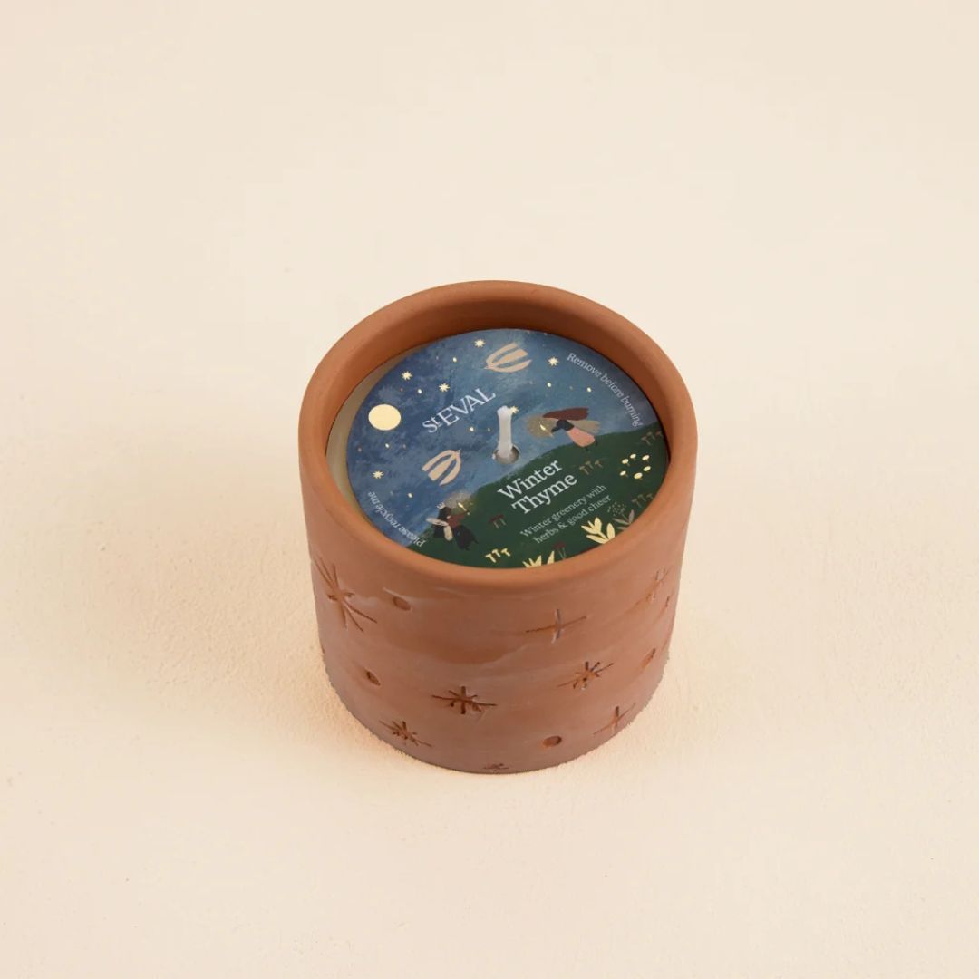 st eval Winter Thyme Star Gazy Pot