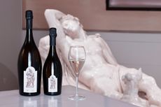 Prosecco_Canova_bottles.jpg