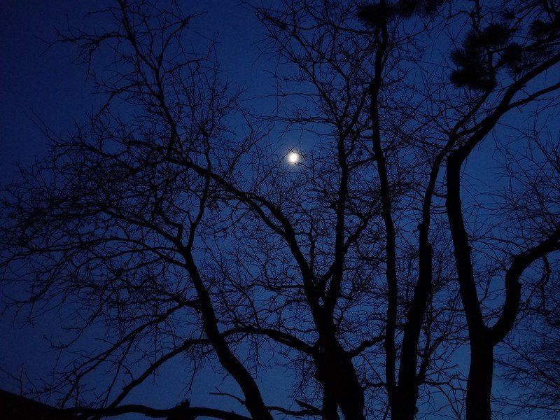 Galaxy S8 low light shot