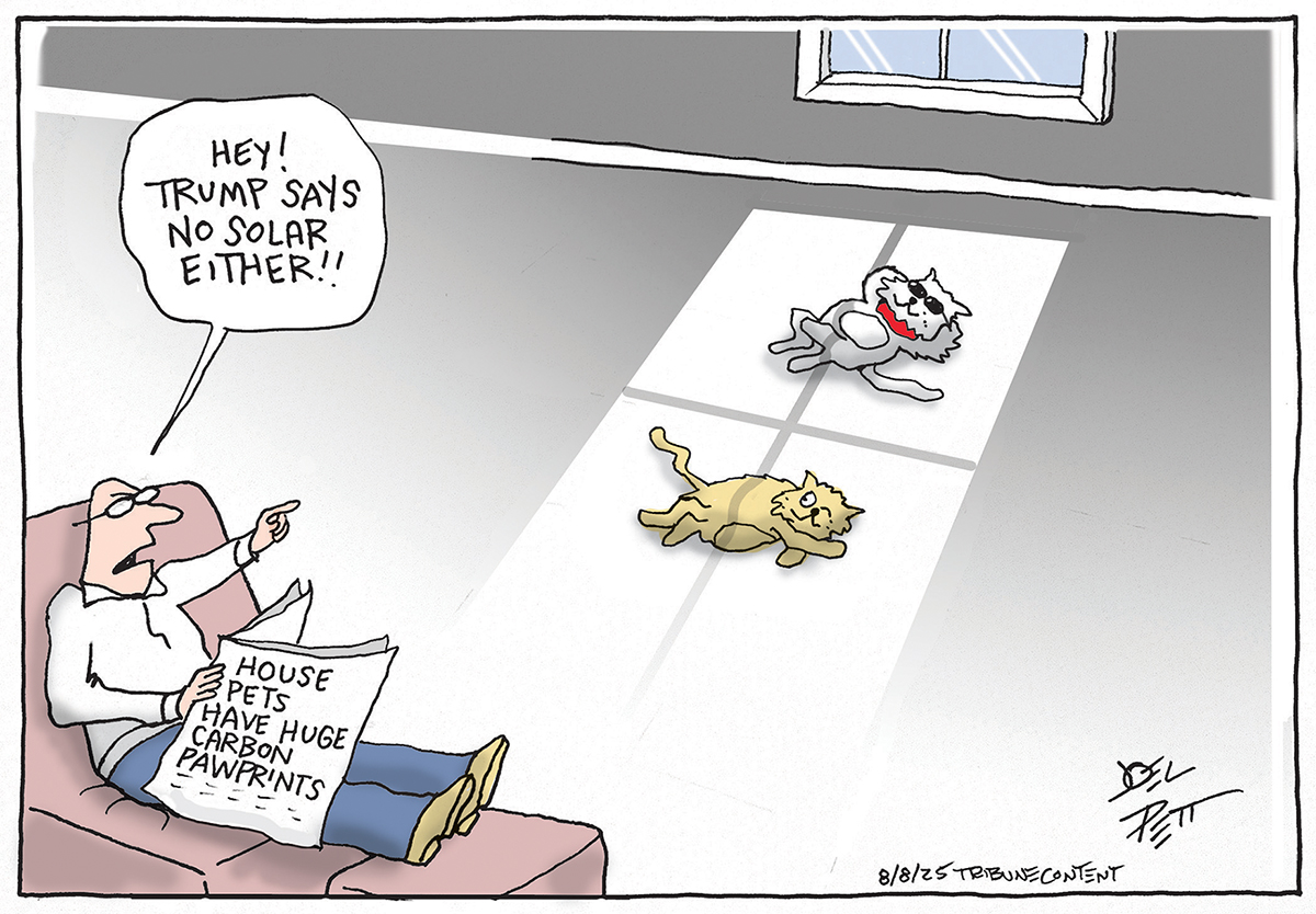 Political cartoon