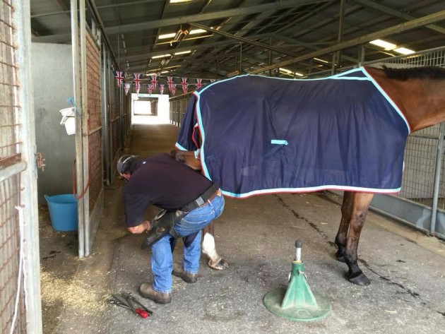 Michael shoeing Hilly