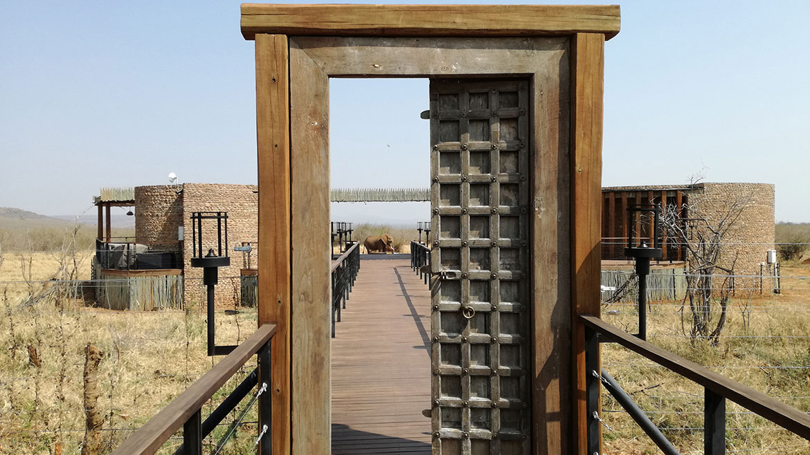 An elephant at Morukuru Farm House