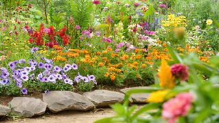 A flower bed with a colorful selection of flowers