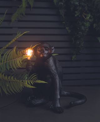 Black monkey backyard light