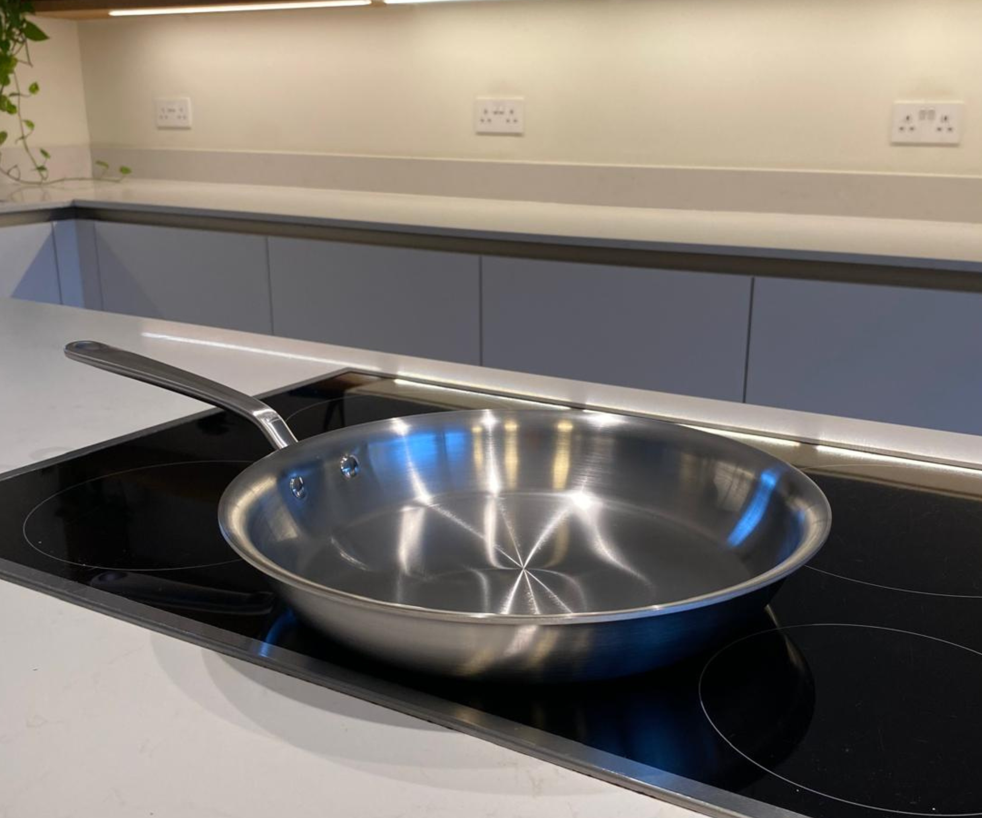 A MadeIn stainless steel pan in my test kitchen