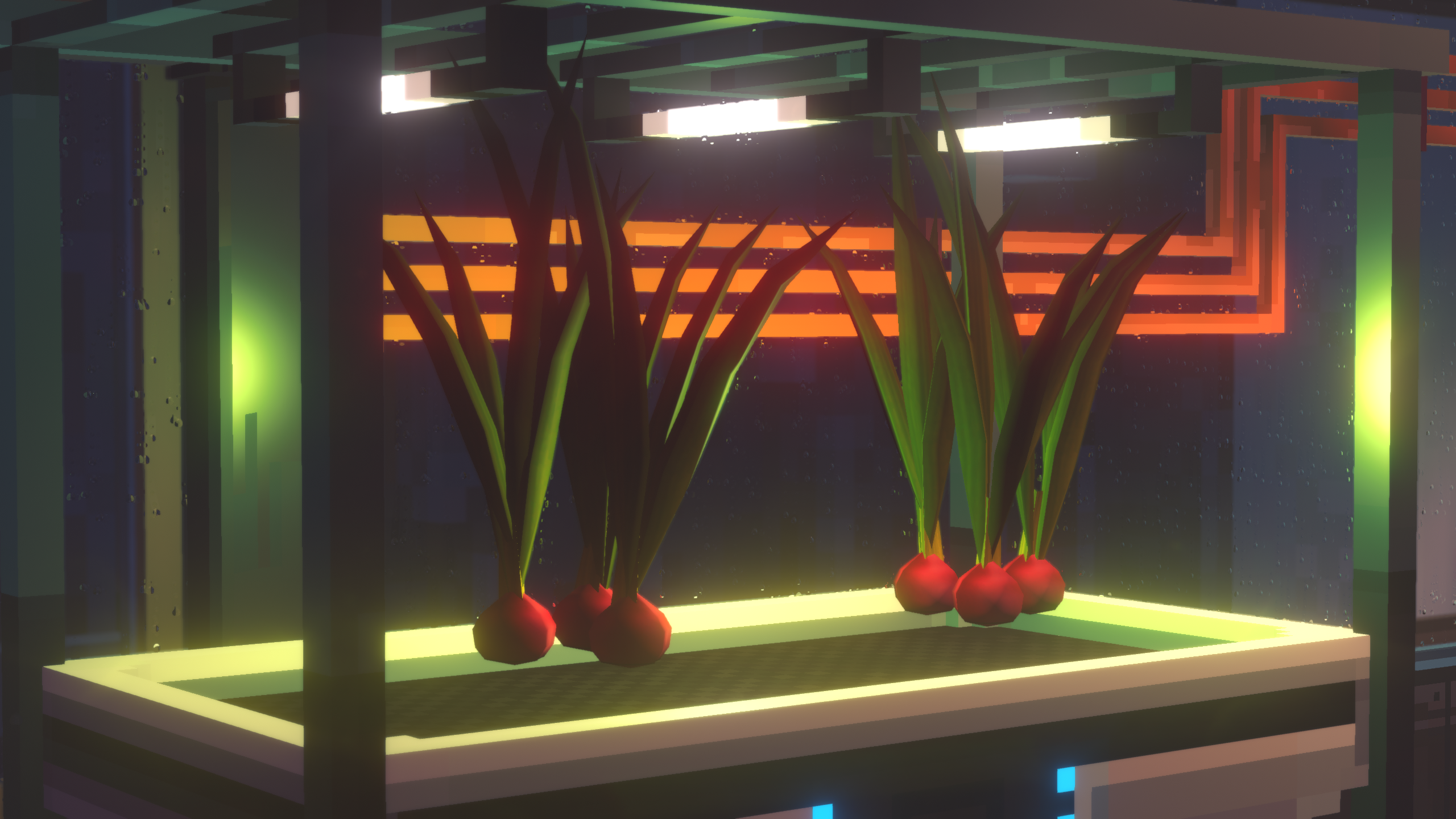 Nivalis Nights - Onions grown in a greenhouse