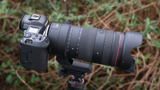 Canon RF 24-105mm f/2.8L IS USM Z lens on a Canon EOS R5 camera