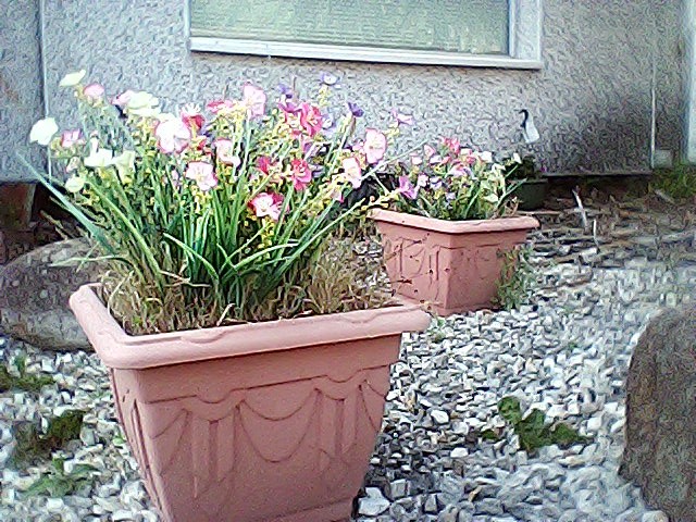 Low-res photo of two flower pots in a gravel area