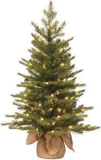 National Tree Company Pre-Lit Artificial Mini: was $99 now $64 @ Amazon