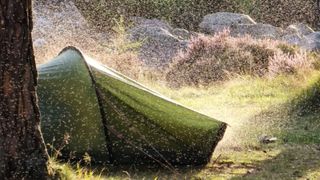 Midges swarm around a tent in the Scottish Summer