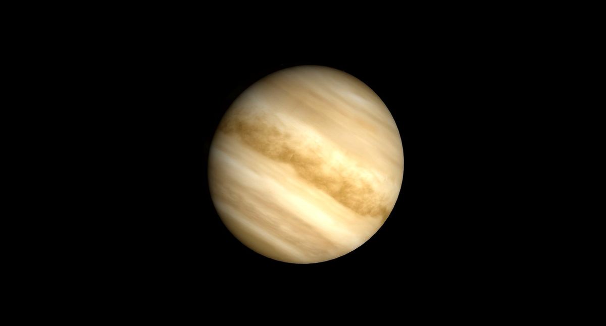 Venus may be able to support life, new atmospheric evidence suggests ...