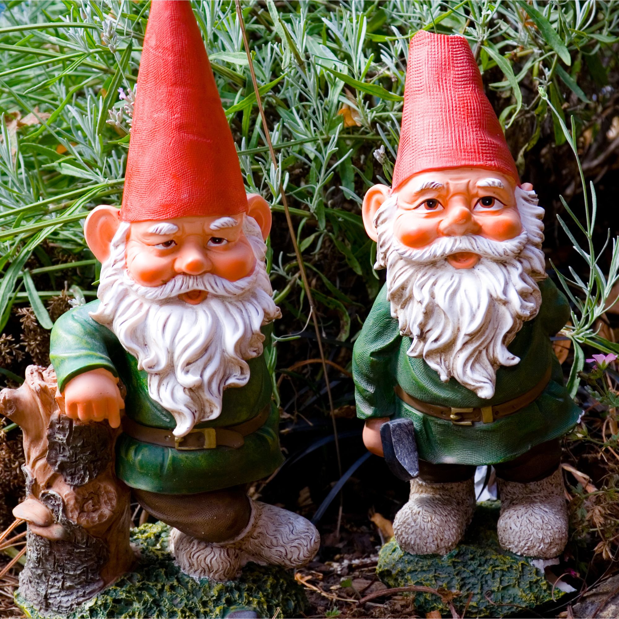 Garden gnomes