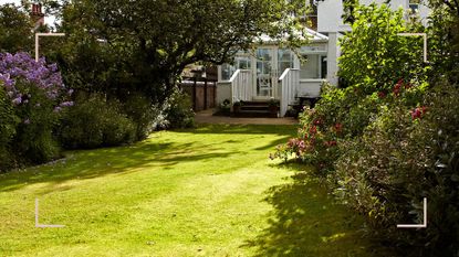 Back garden in the sunshine to illustrate how often you should water the lawn in summer