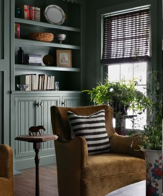 A green home library with a window and a gold velvet chair