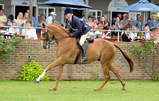RoR-Elite-Show-Series-Champion-.jpg