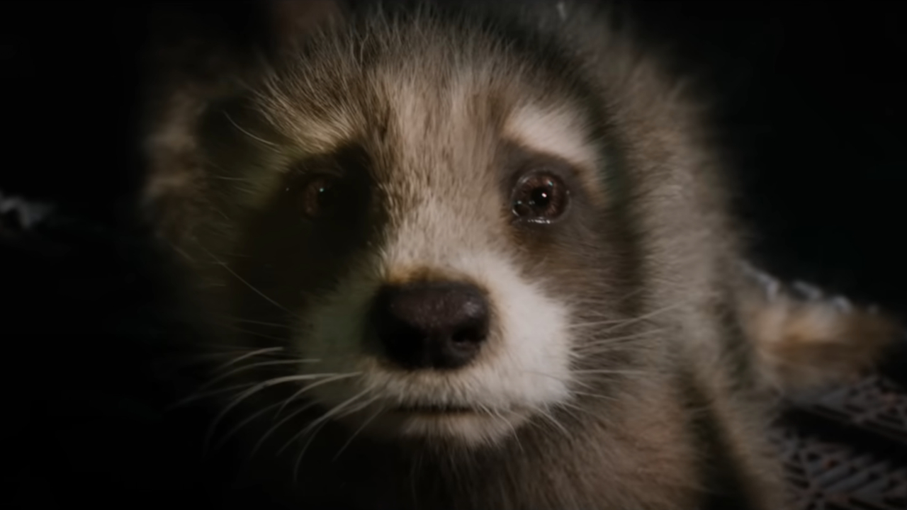 Baby Rocket looks very worried in his cage in Guardians of the Galaxy Vol.  3.