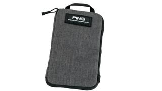 Ping Valuables Pouch