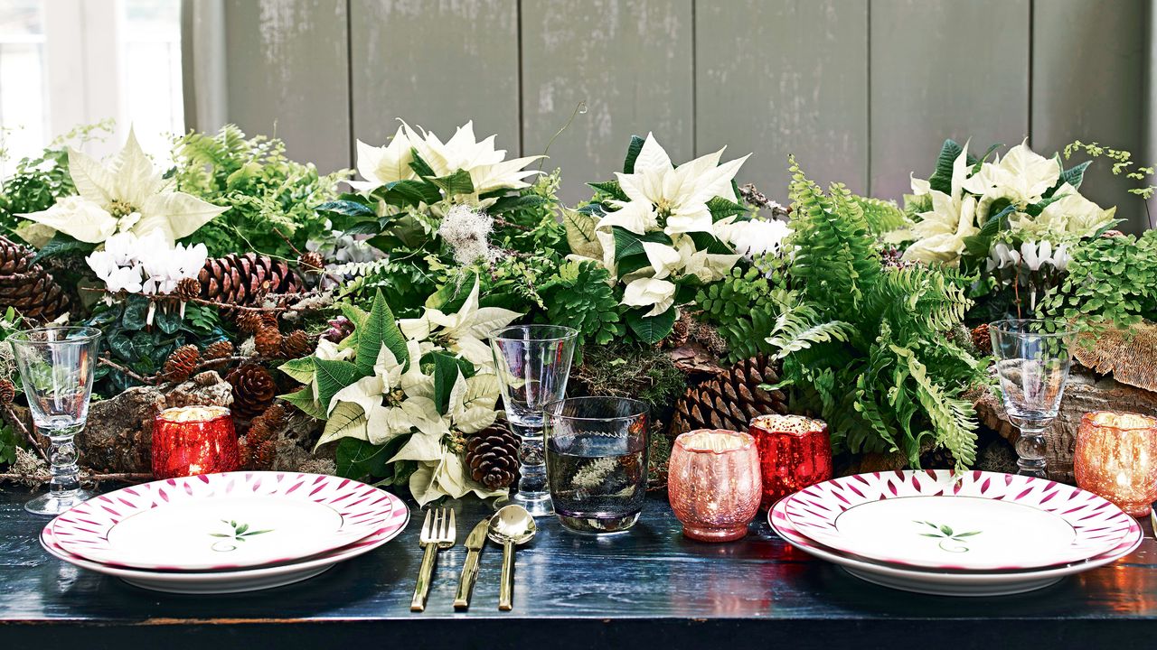 Poinsettia inside on table